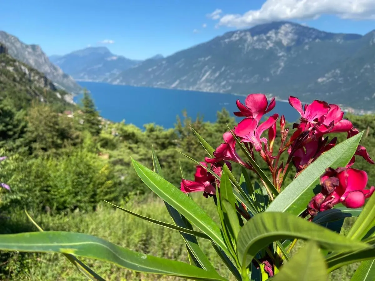 Un Balcone Sul Garda Apartment Tremosine